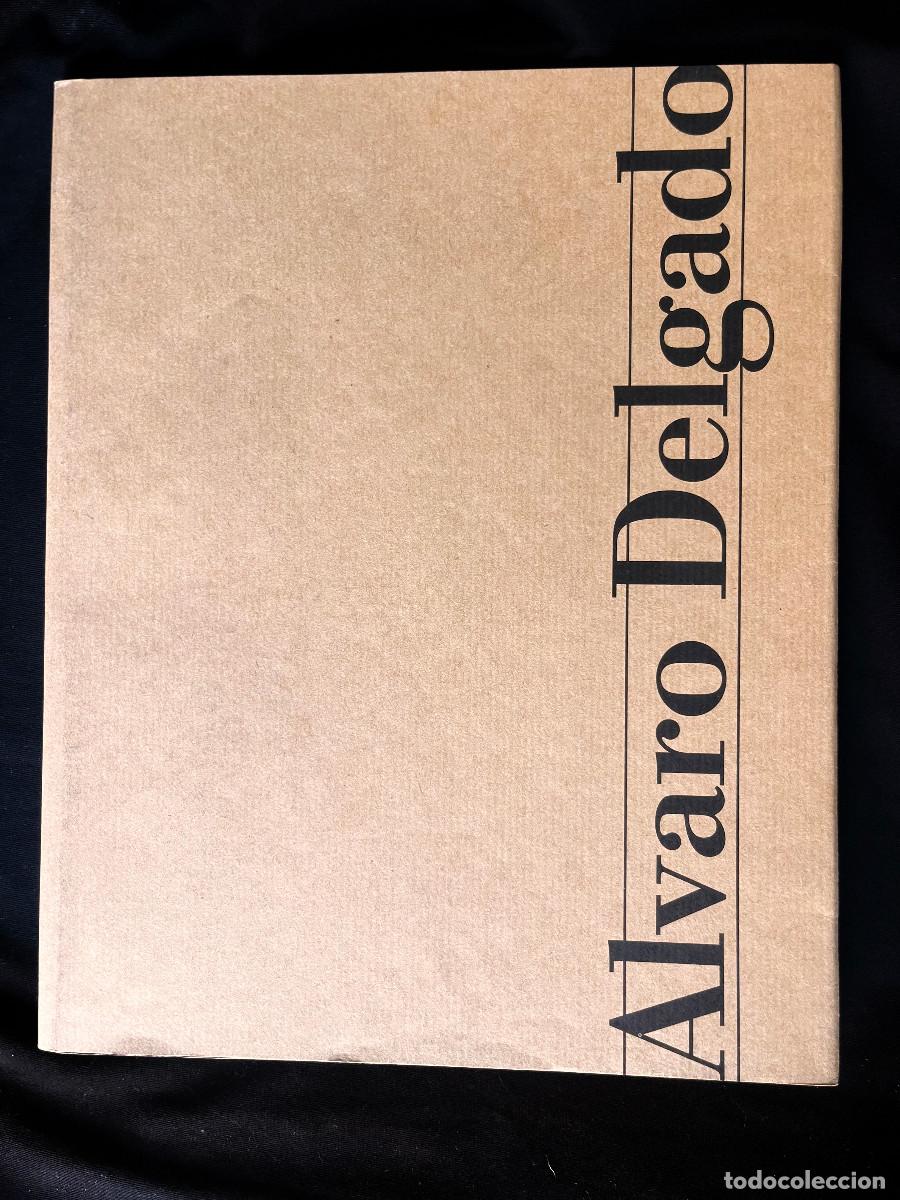Libros de segunda mano: &Aacute;lvaro Delgado (cat&aacute;logo exposici&oacute;n) - Foto 1