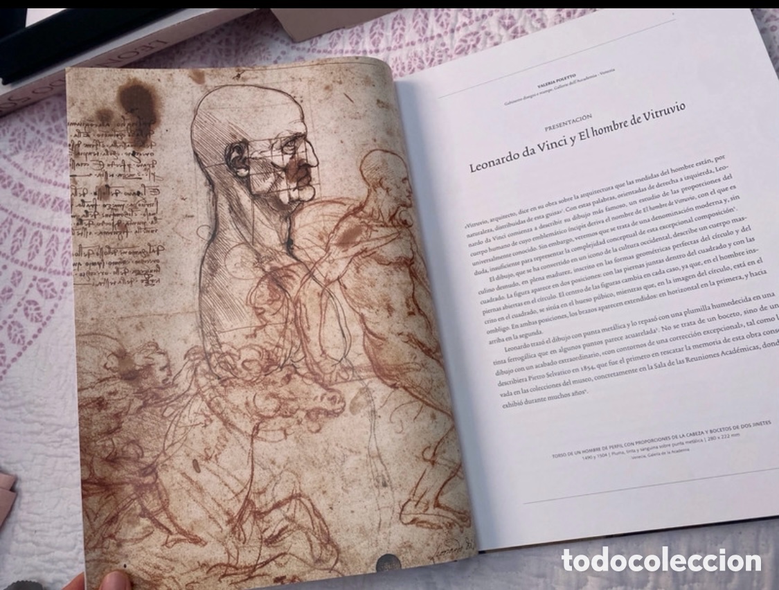 Libros de segunda mano: Leonardo 500. El hombre de Vitruvio. - Foto 3