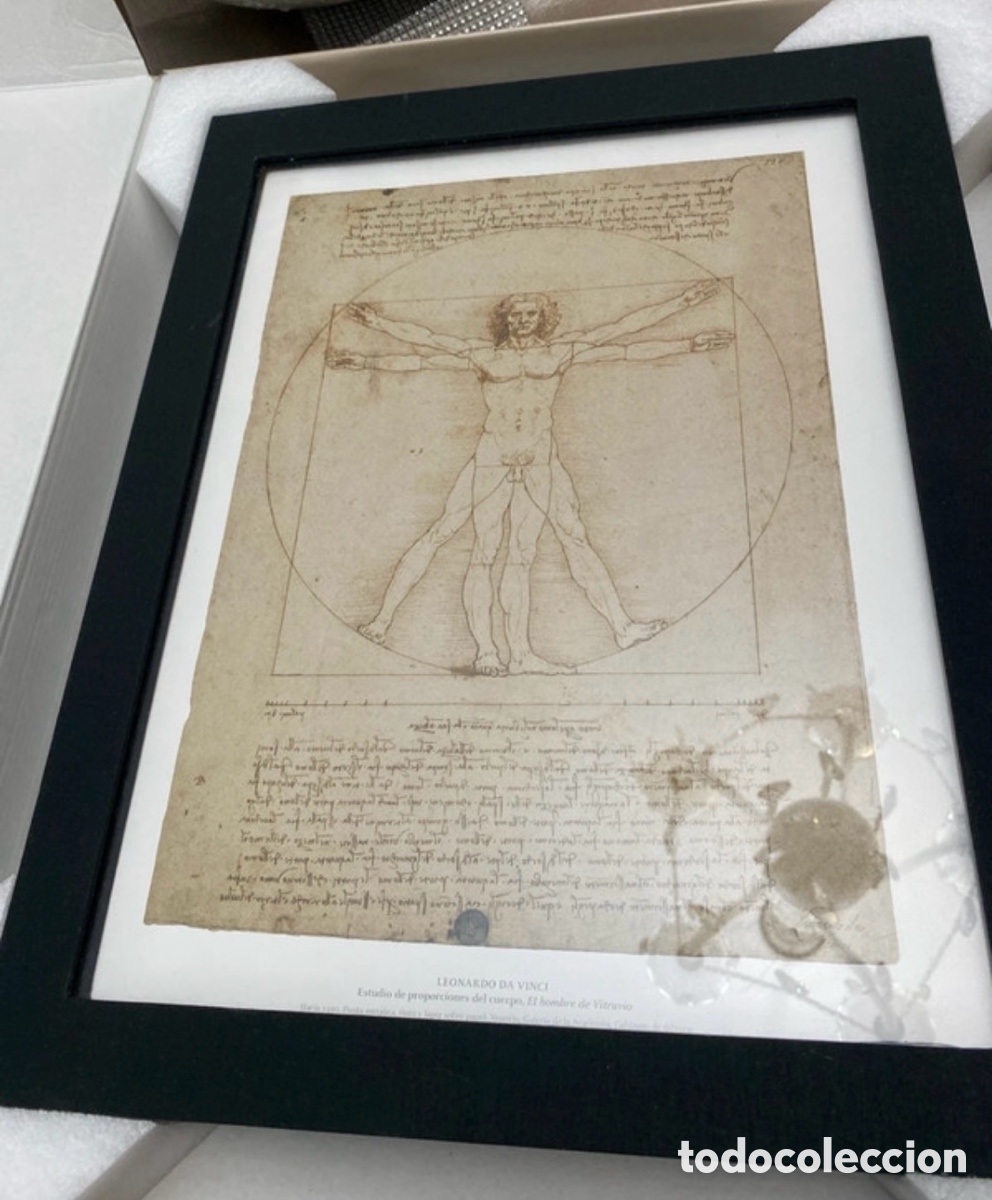 Libros de segunda mano: Leonardo 500. El hombre de Vitruvio. - Foto 5