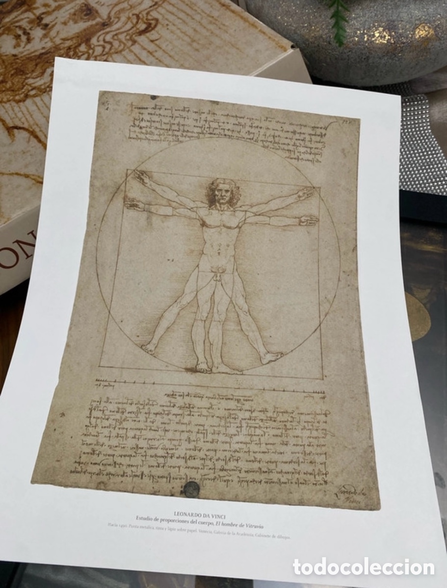 Libros de segunda mano: Leonardo 500. El hombre de Vitruvio. - Foto 8