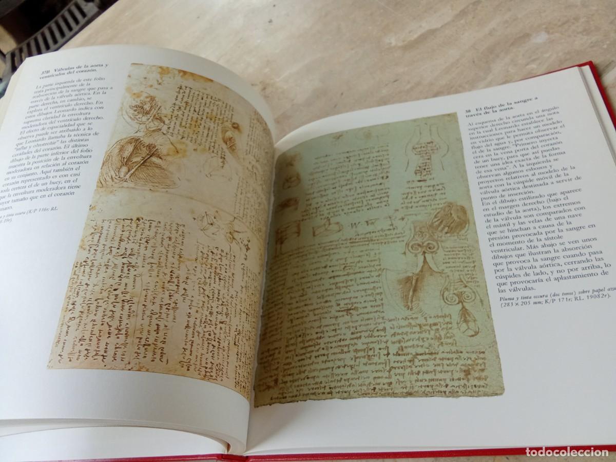 Libros de segunda mano: DISE&Ntilde;OS ANATOMICOS LEONARDO DA VINCI / BENCARD / CJA321 - Foto 9