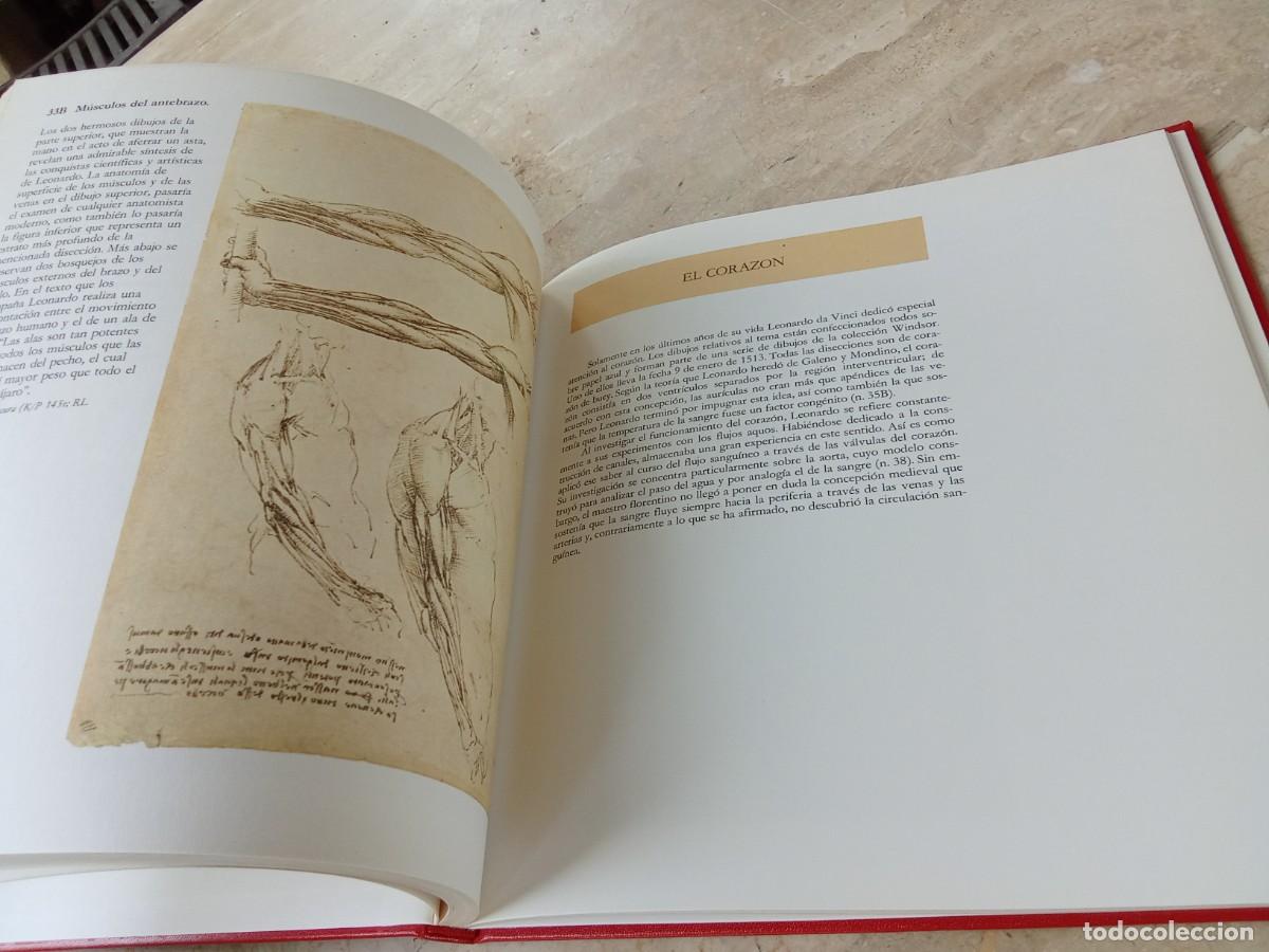 Libros de segunda mano: DISE&Ntilde;OS ANATOMICOS LEONARDO DA VINCI / BENCARD / CJA321 - Foto 10