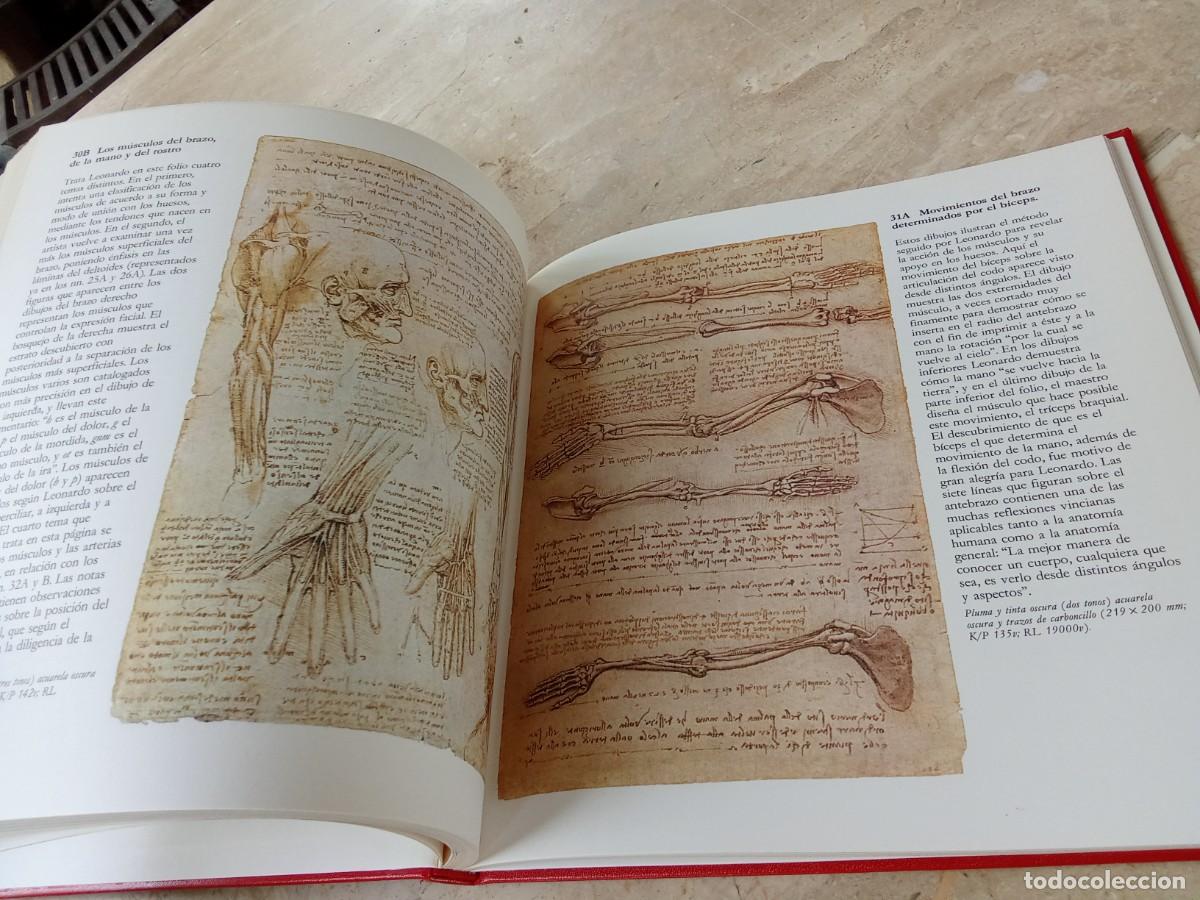 Libros de segunda mano: DISE&Ntilde;OS ANATOMICOS LEONARDO DA VINCI / BENCARD / CJA321 - Foto 11