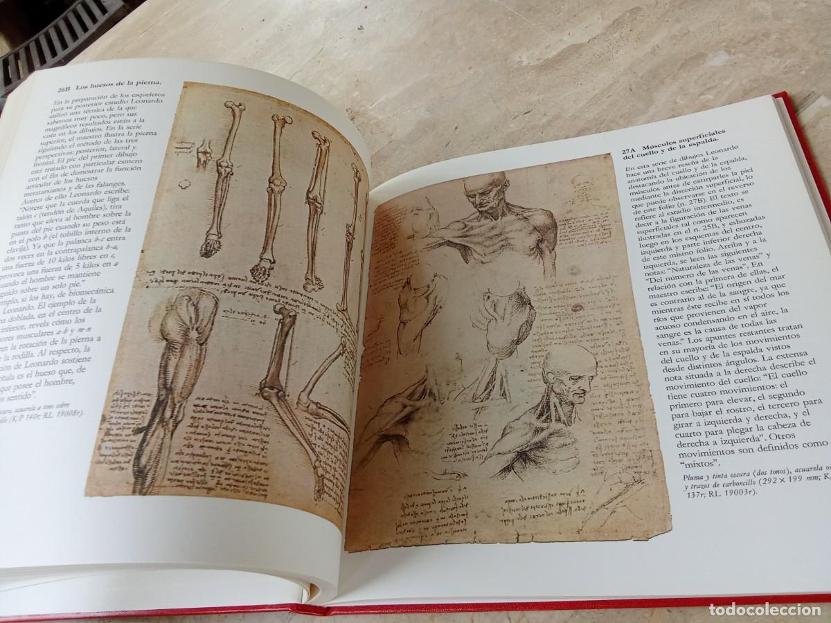 Libros de segunda mano: DISE&Ntilde;OS ANATOMICOS LEONARDO DA VINCI / BENCARD / CJA321 - Foto 12