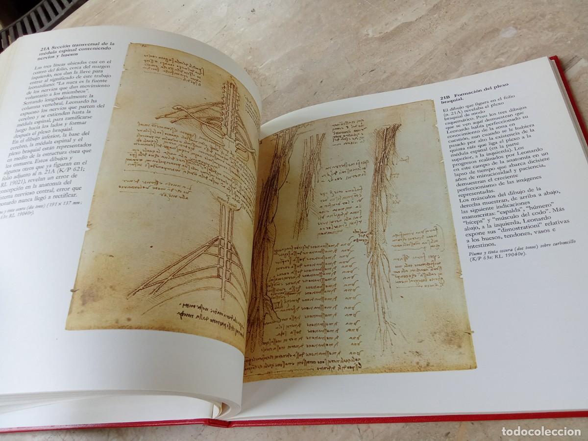 Libros de segunda mano: DISE&Ntilde;OS ANATOMICOS LEONARDO DA VINCI / BENCARD / CJA321 - Foto 13