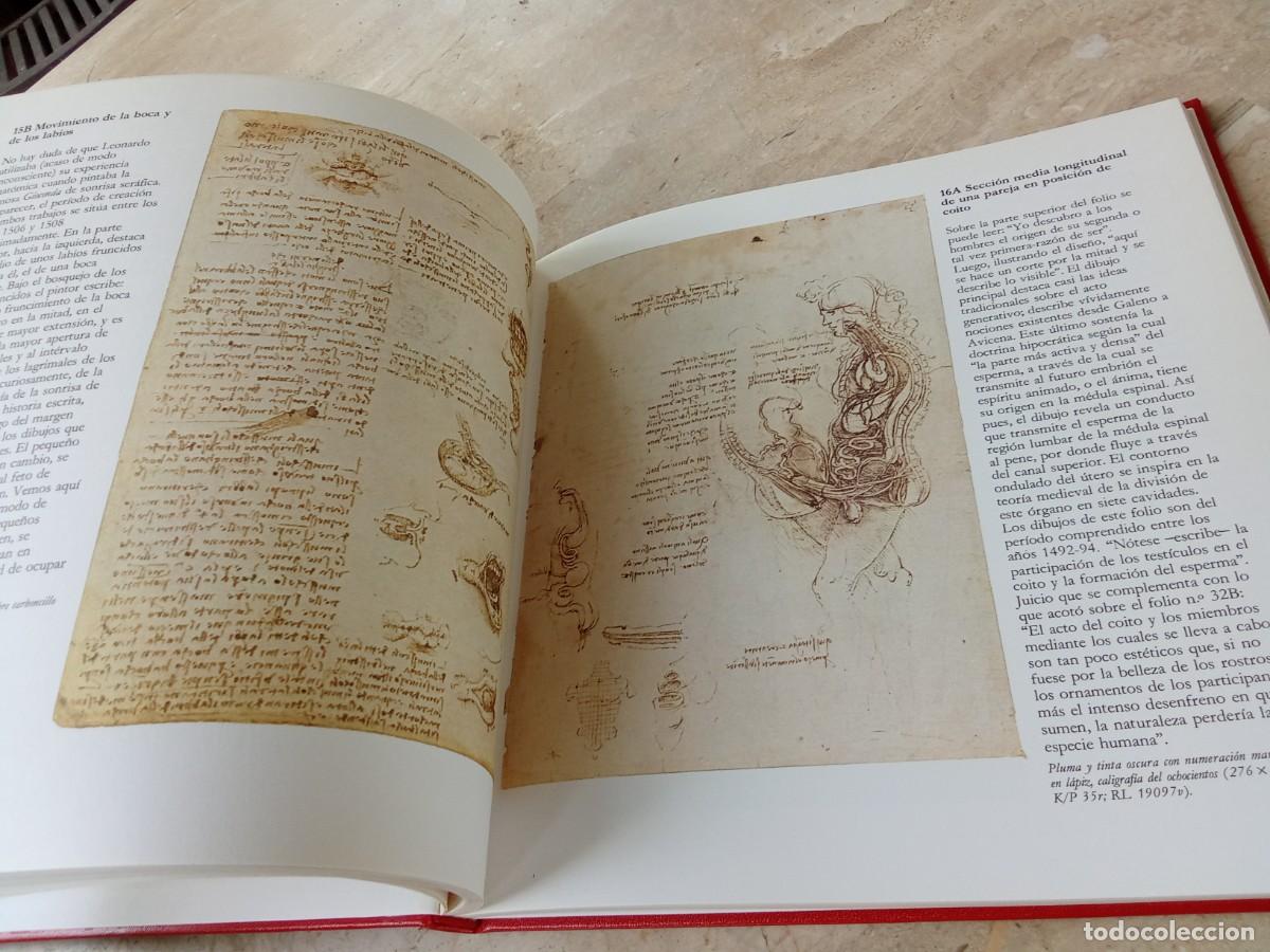 Libros de segunda mano: DISE&Ntilde;OS ANATOMICOS LEONARDO DA VINCI / BENCARD / CJA321 - Foto 14