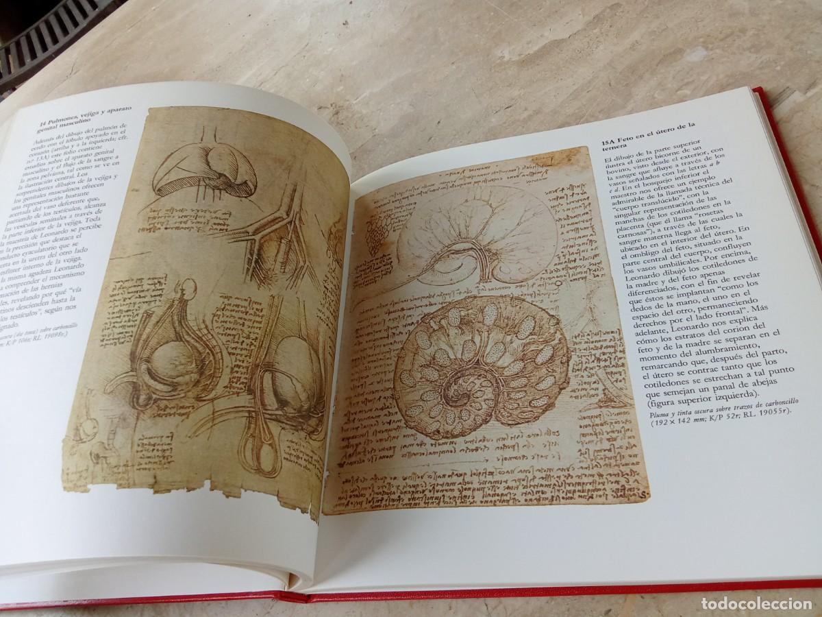 Libros de segunda mano: DISE&Ntilde;OS ANATOMICOS LEONARDO DA VINCI / BENCARD / CJA321 - Foto 15