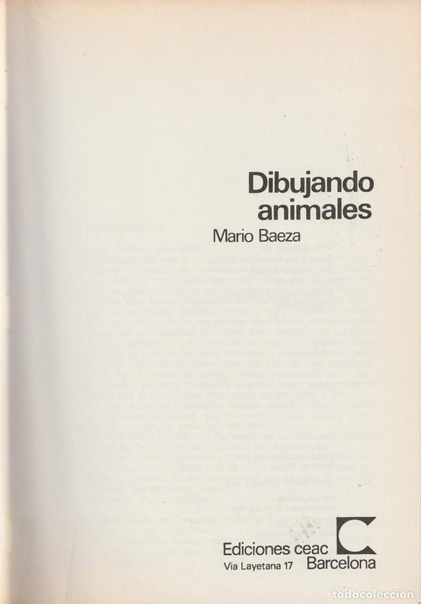 Libros de segunda mano: Dibujando animales, Mario Baeza - Foto 4