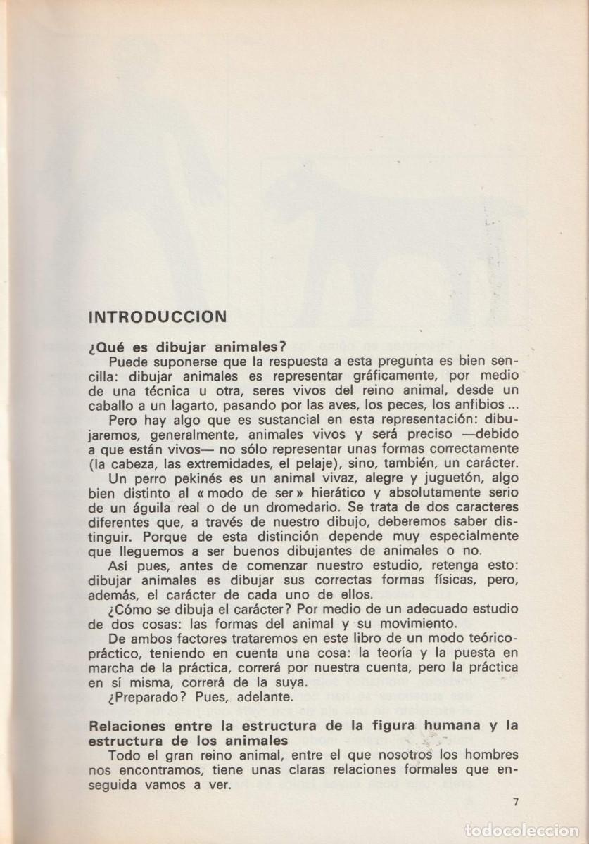 Libros de segunda mano: Dibujando animales, Mario Baeza - Foto 6