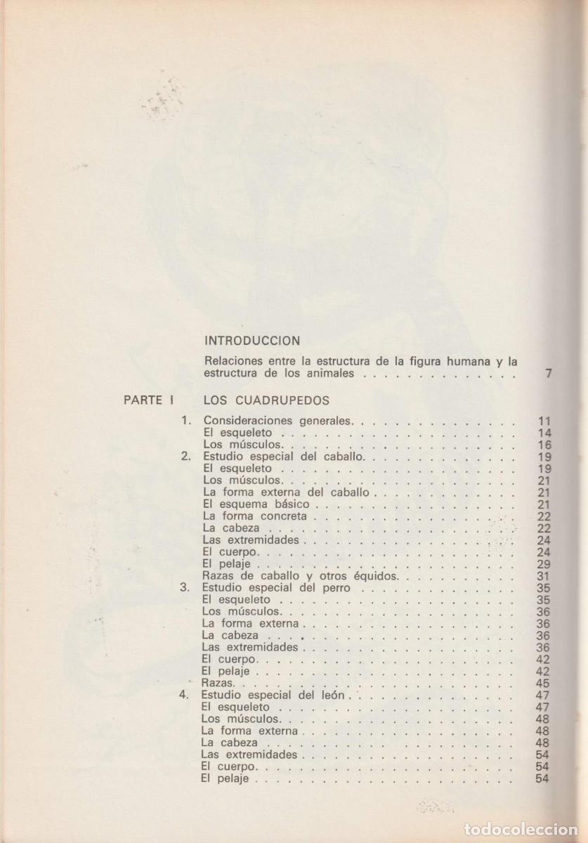 Libros de segunda mano: Dibujando animales, Mario Baeza - Foto 7