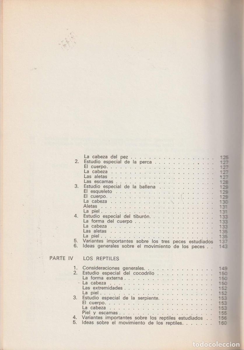 Libros de segunda mano: Dibujando animales, Mario Baeza - Foto 9