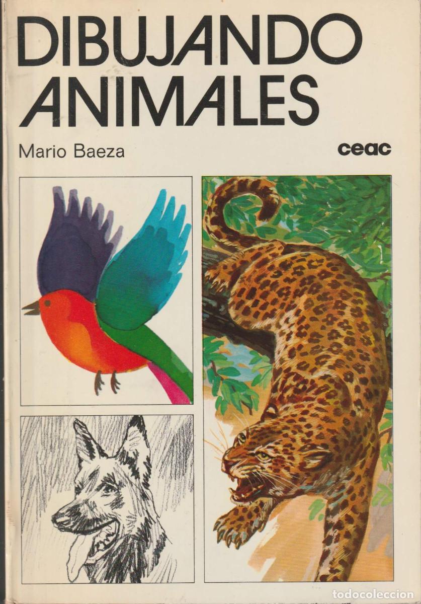 Libros de segunda mano: Dibujando animales, Mario Baeza - Foto 1