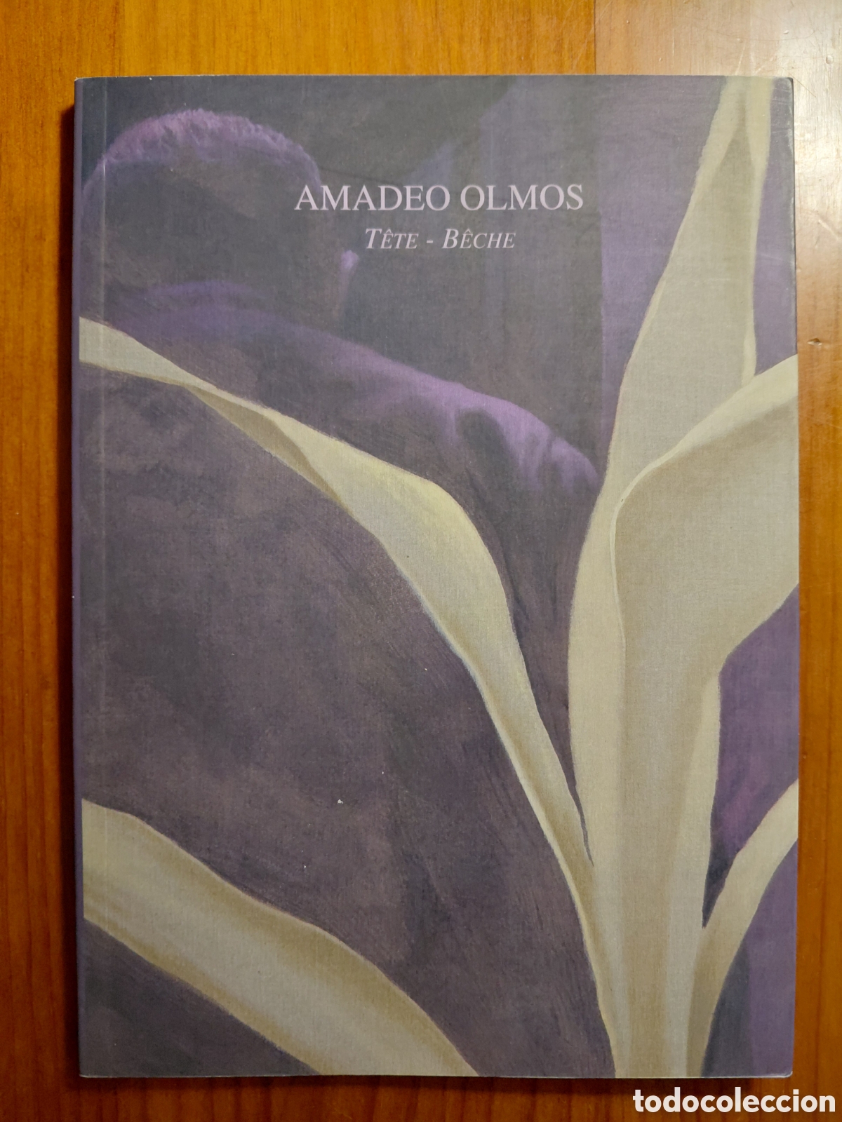 Libros de segunda mano: Amadeo Olmos, T&ecirc;te-B&ecirc;che - Foto 1