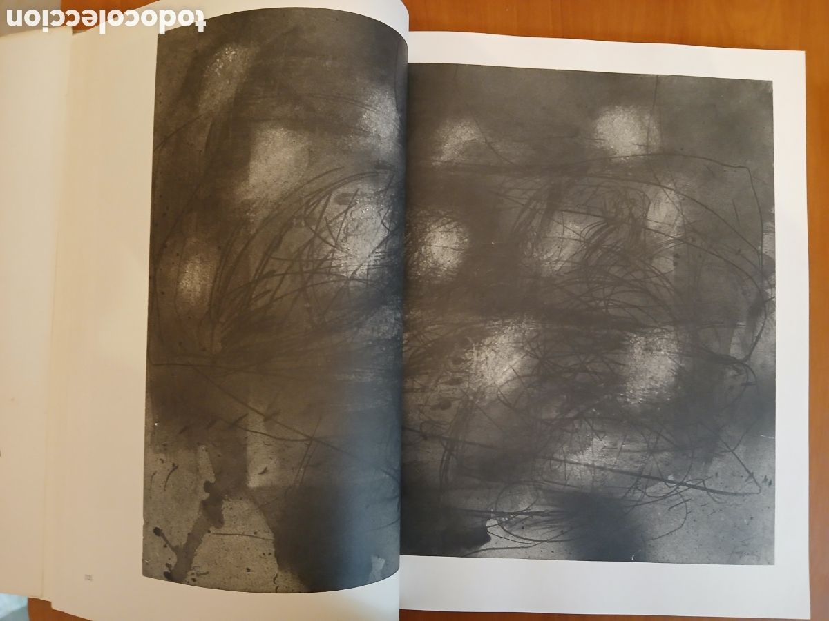 Libros de segunda mano: T&aacute;pies , dibujos. Werner Schmalenbach. - Foto 9