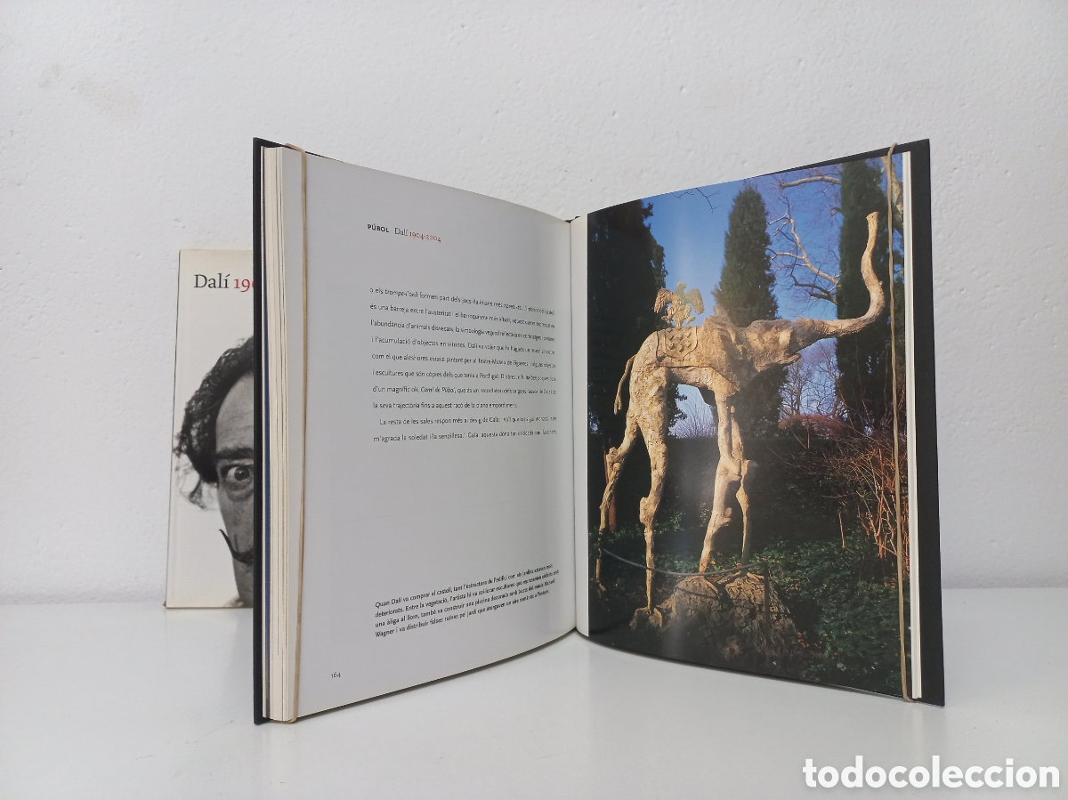 Libros de segunda mano: Dal&iacute; 1904-2004. La Ca&iacute;xa. Ilustrado. - Foto 5