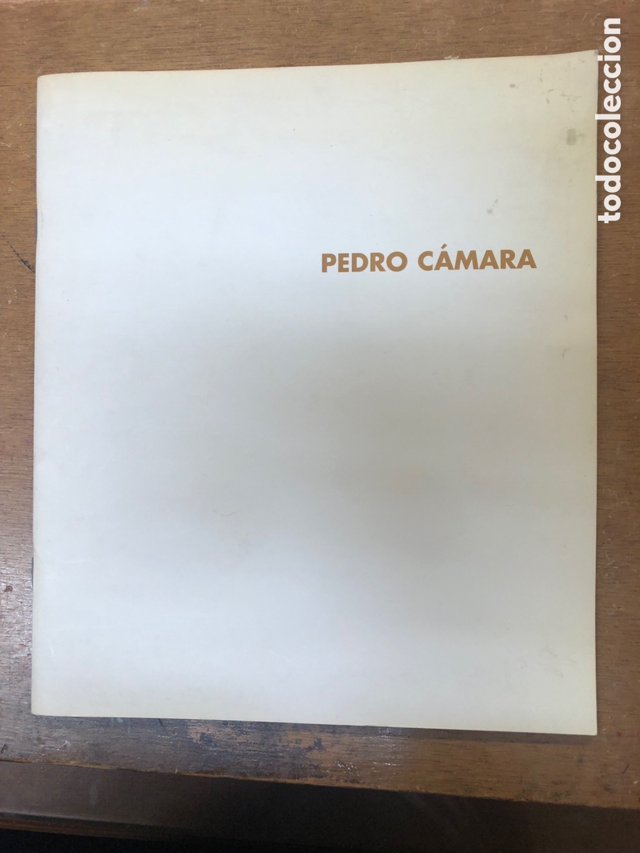 Libros de segunda mano: Cat&aacute;logo del pintor Pedro c&aacute;mara