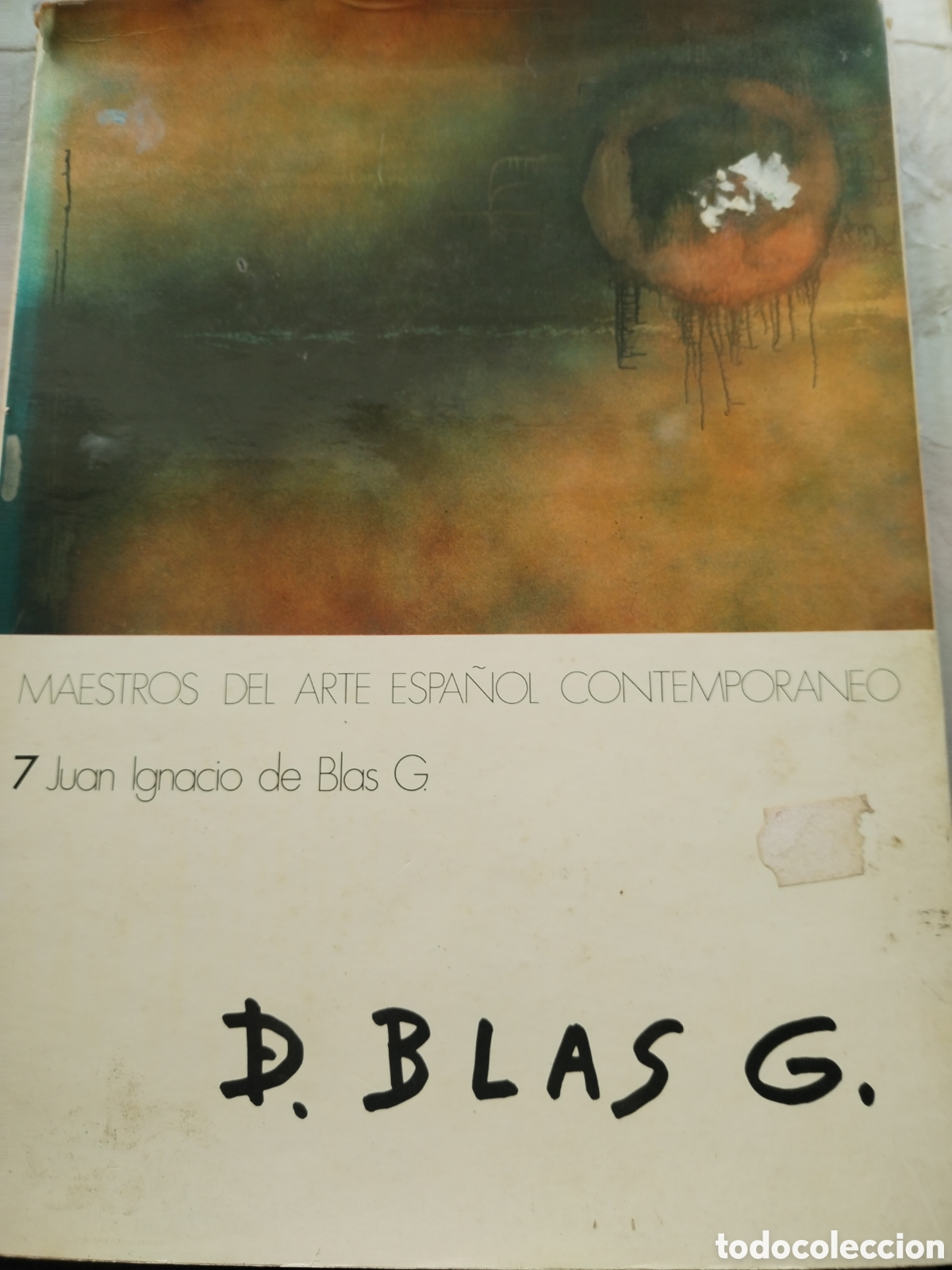 Gebrauchte B&uuml;cher: JUAN IGNACIO DE BLAS G./MAESTROS DEL ARTE ESPA&Ntilde;OL CONTEMPOR&Aacute;NEO