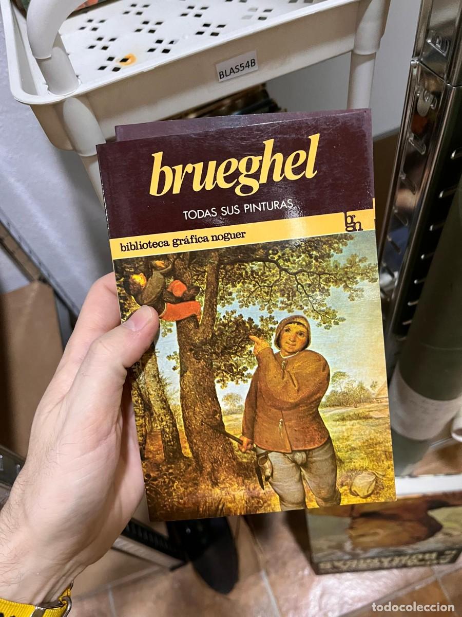 Second hand books: BLAS54B BIBLIOTECA GRAFICA NOGUER. TODAS SUS PINTURAS: BRUEGHEL