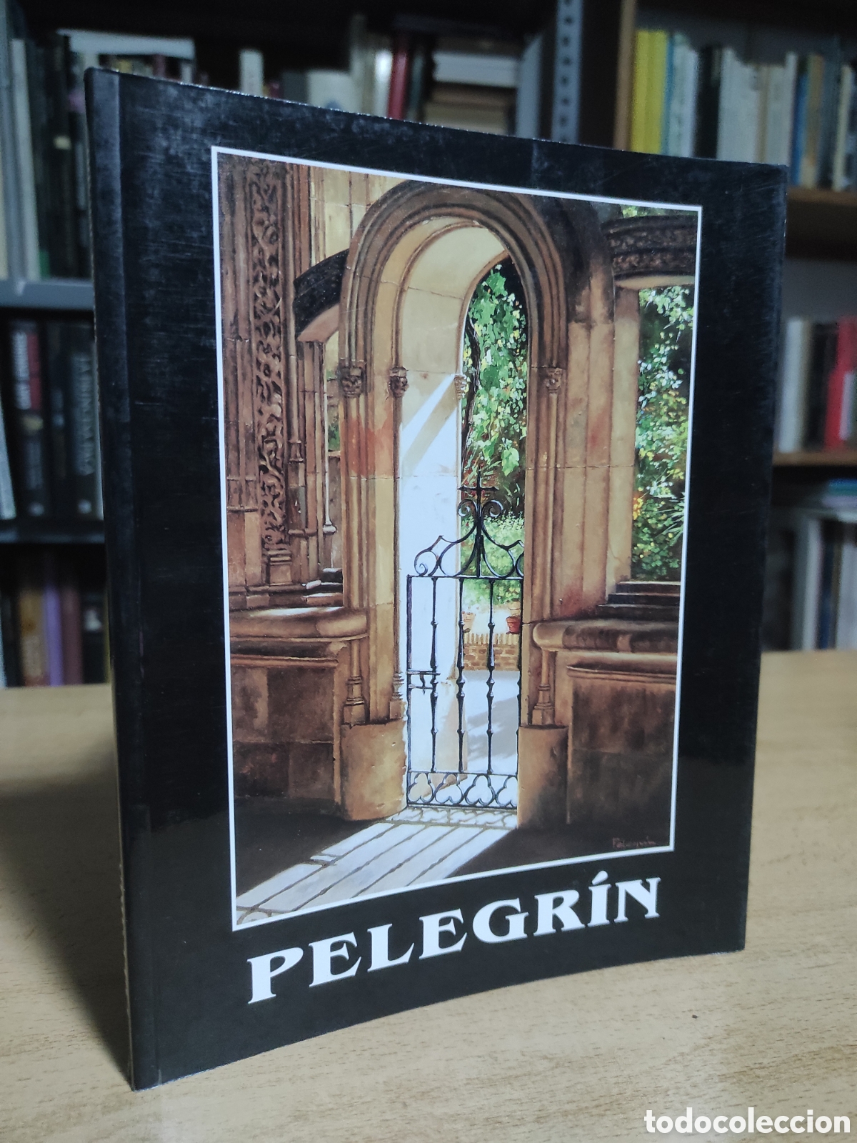 Libri di seconda mano: Pelegrin. Jos&eacute; Villena Jurado. Colecciones Pintores. Galeria Arte Benedito. 46