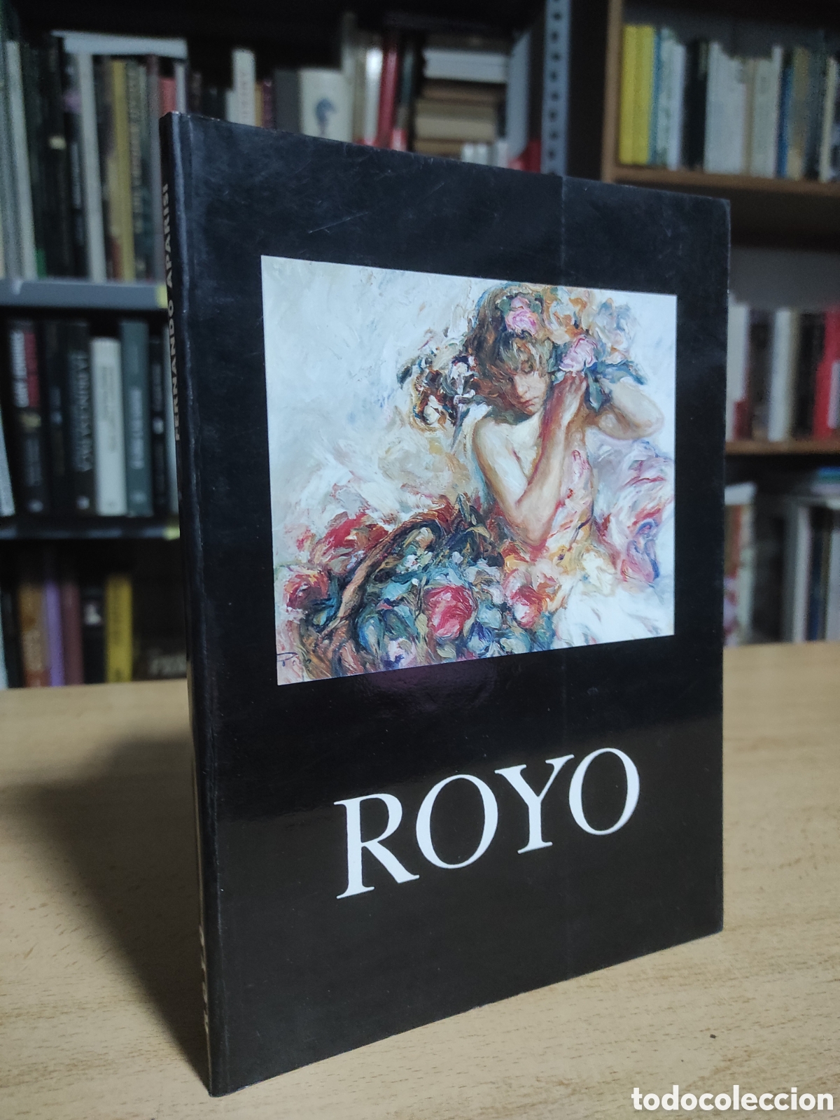 Gebrauchte B&uuml;cher: Royo. Fernando Aparisi. Colecciones Pintores. Galeria Arte Benedito. 14