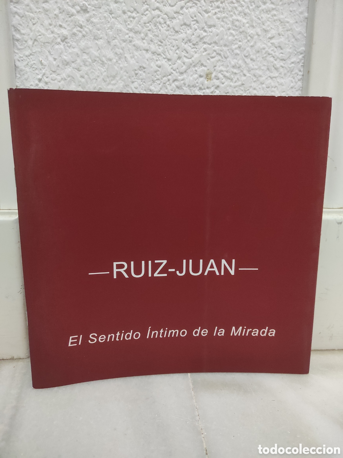 Libros de segunda mano: Ruiz Juan. El sentido &iacute;ntimo de la mirada. Alhaur&iacute;n de la Torre