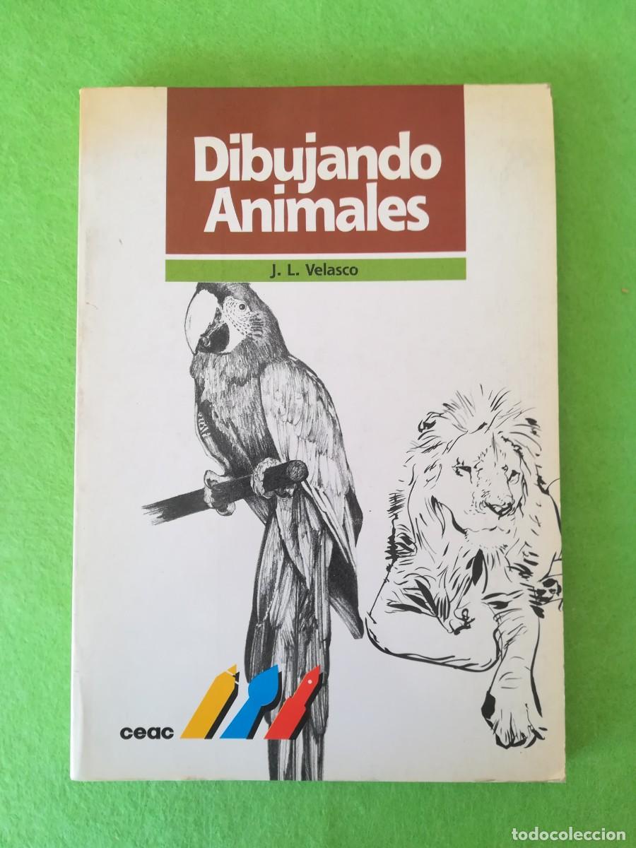 Libros de segunda mano: Dibujando animales Velasco Ceac 1990 - Foto 1