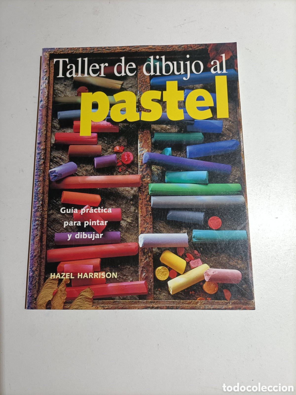 Libros de segunda mano: Taller de dibujo al pastel. Gu&iacute;a pr&aacute;ctica para pintar y dibujar Hazel Harrison t&eacute;cnicas pintura
