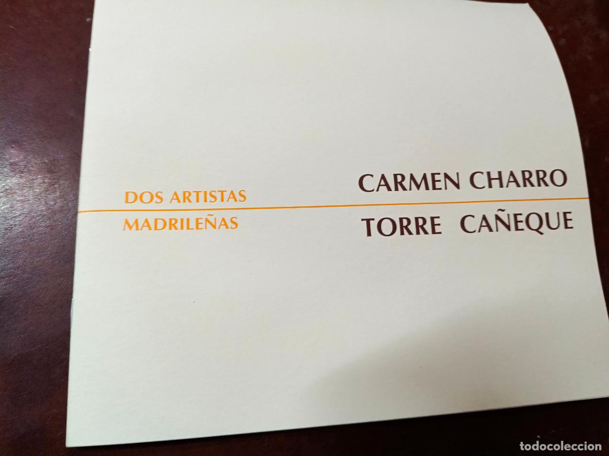 Second hand books: Catalogo arte dos artistas madrile&ntilde;as carmen charro y torre ca&ntilde;eque