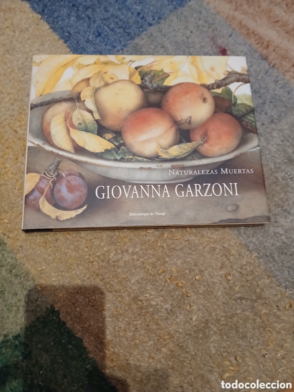 Gebrauchte B&uuml;cher: Giovanna Garz&oacute;n libro