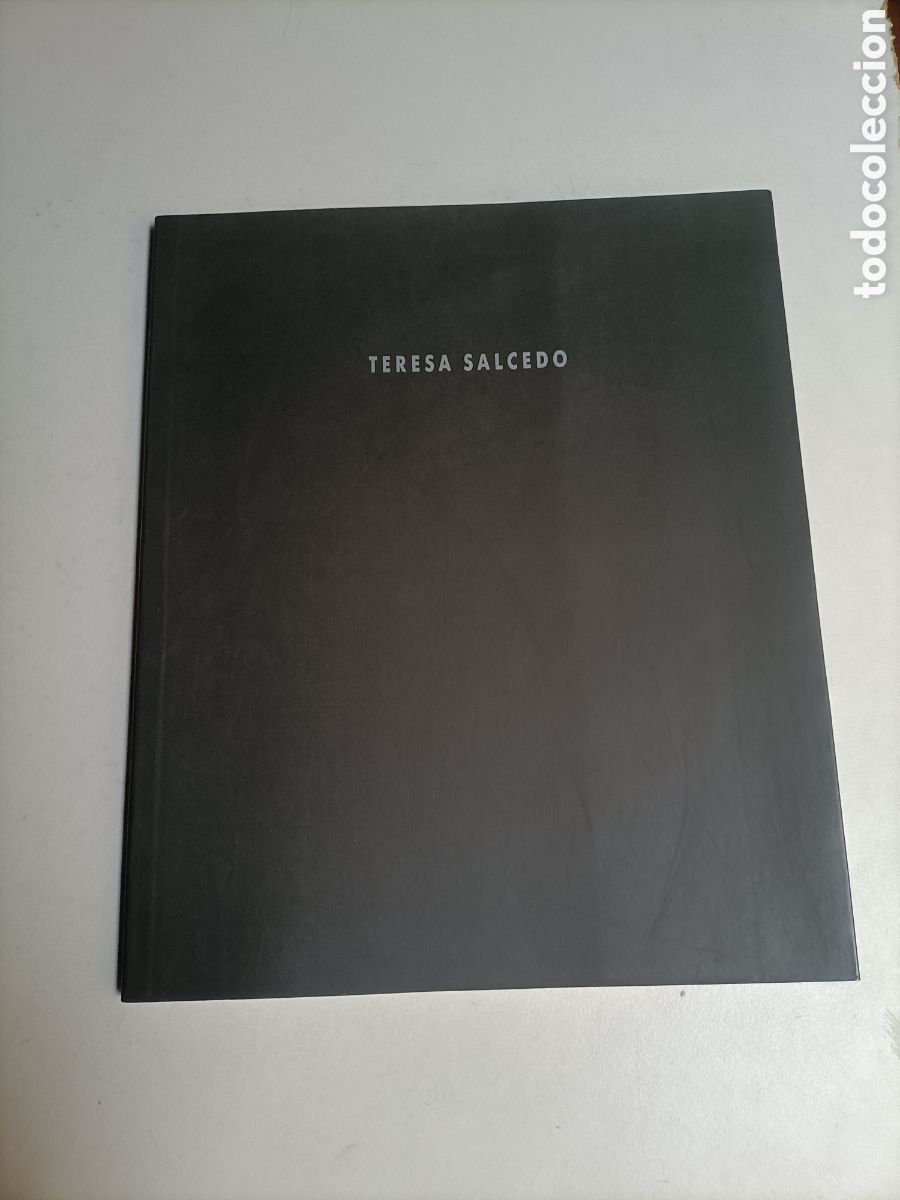 Libros de segunda mano: Teresa Salcedo. Sala Luz&aacute;n. Zaragoza. 1995