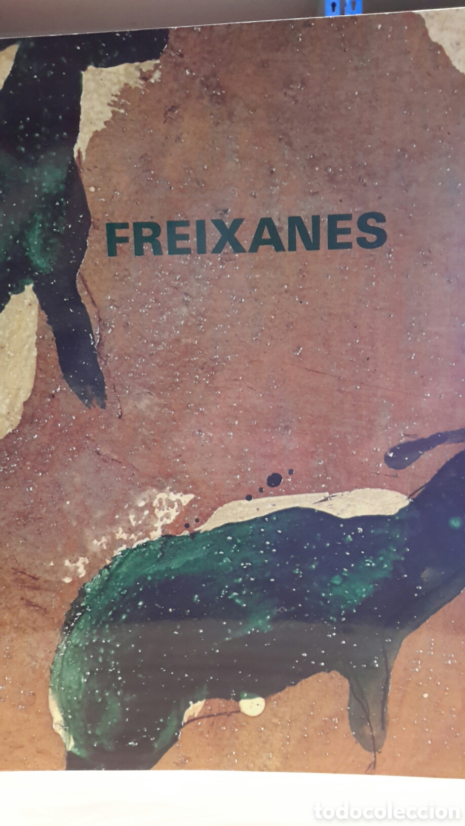 Libros de segunda mano: Freixanes - Anton Castro - Foto 1