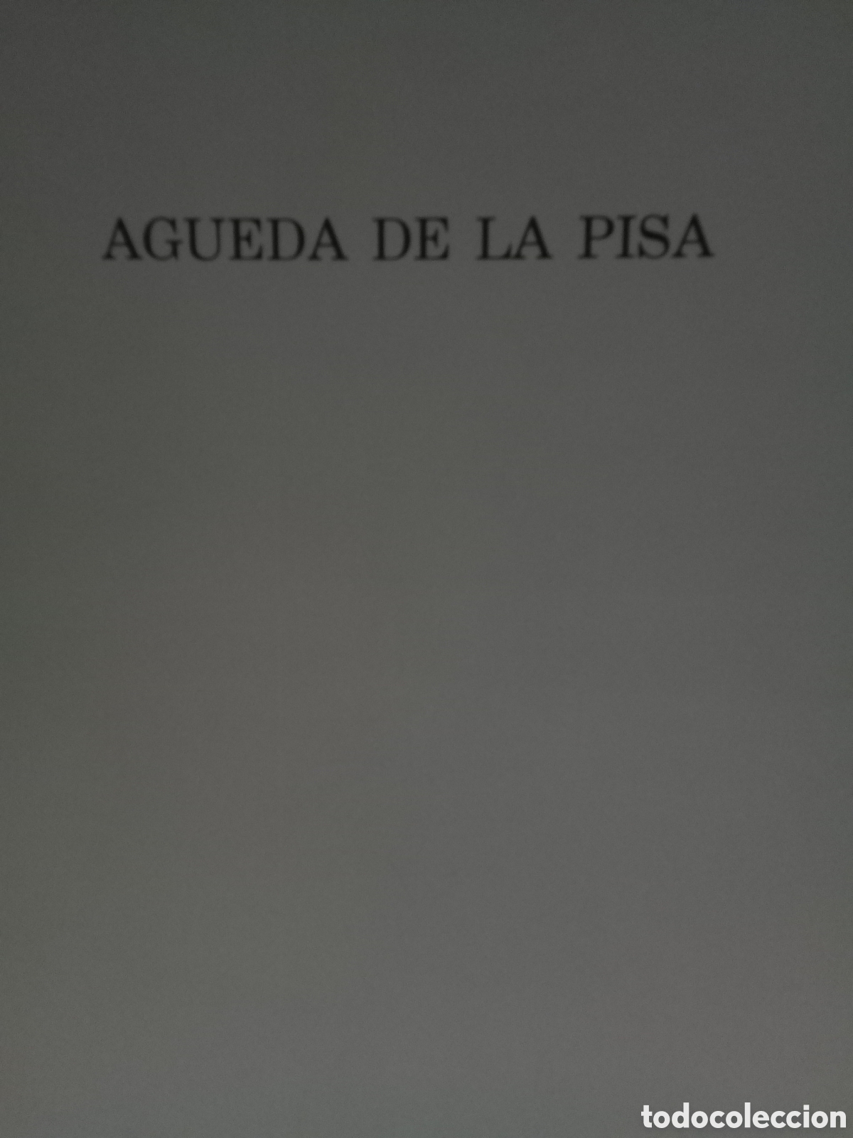 Libros de segunda mano: AGUEDA DE LA PISA - Centenario Ram&oacute;n Carande - Foto 1