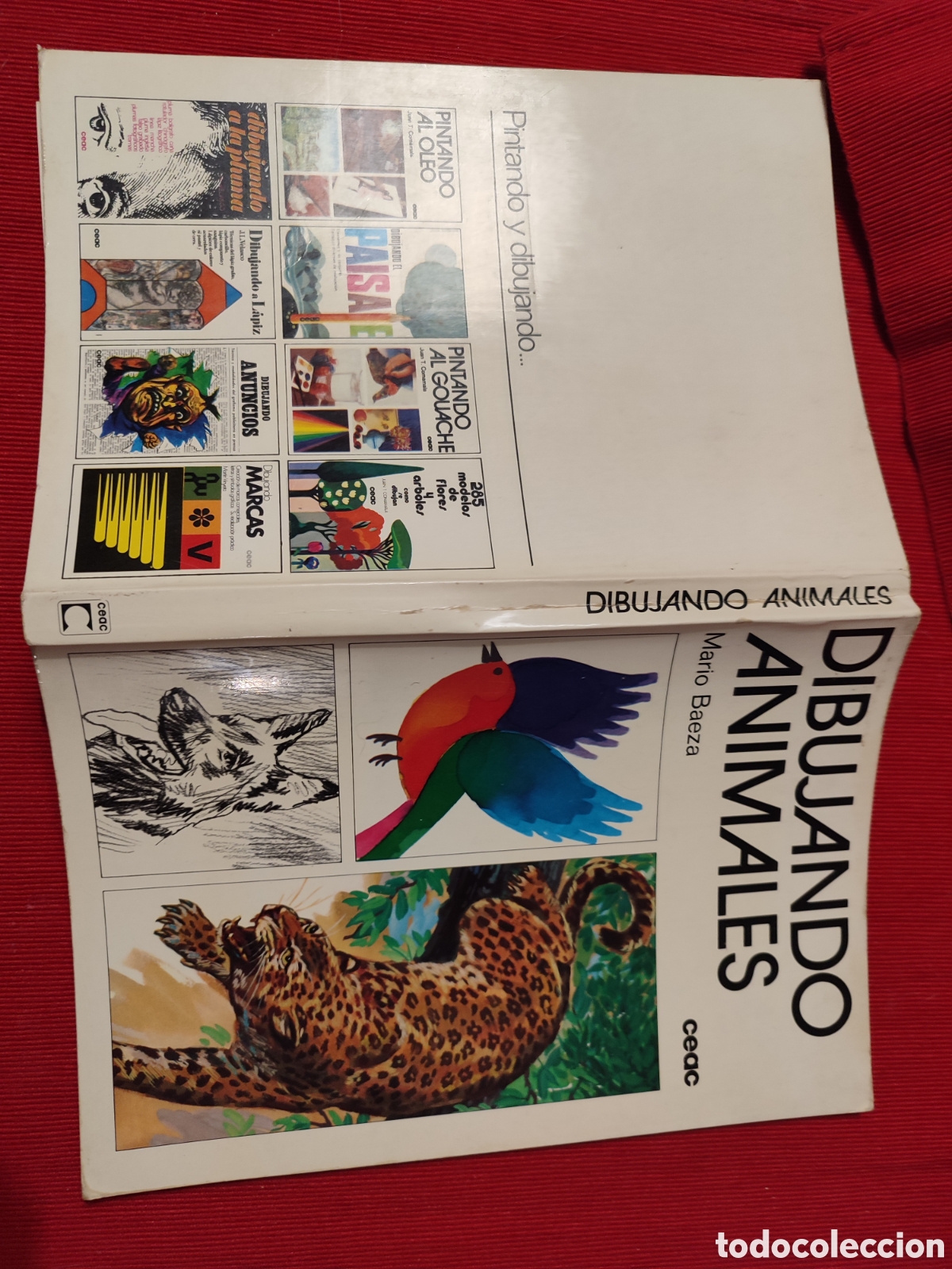 Libros de segunda mano: DIBUJANDO ANIMALES. Mario Baeza. - Foto 2