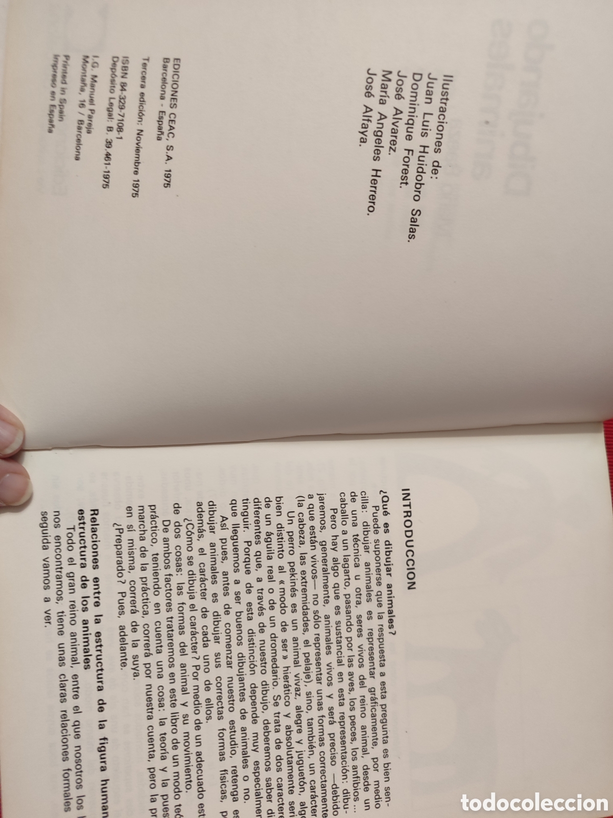 Libros de segunda mano: DIBUJANDO ANIMALES. Mario Baeza. - Foto 3