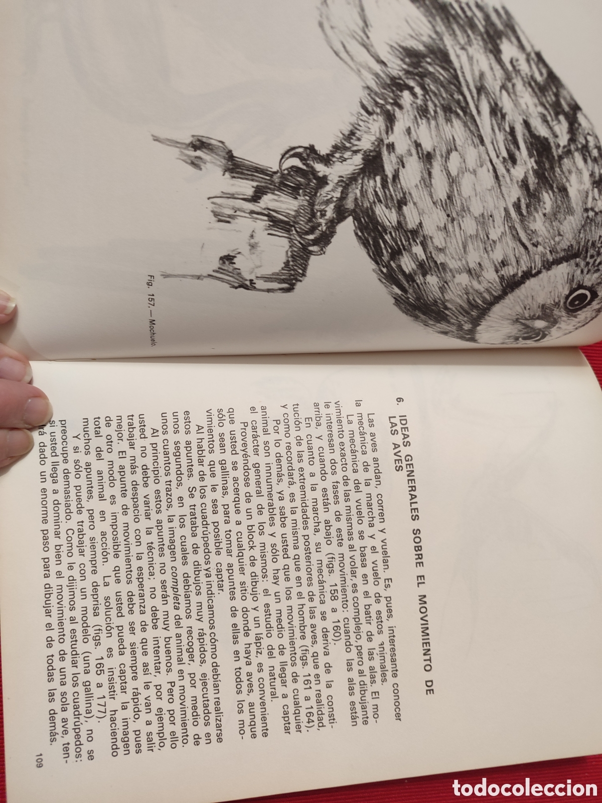 Libros de segunda mano: DIBUJANDO ANIMALES. Mario Baeza. - Foto 6