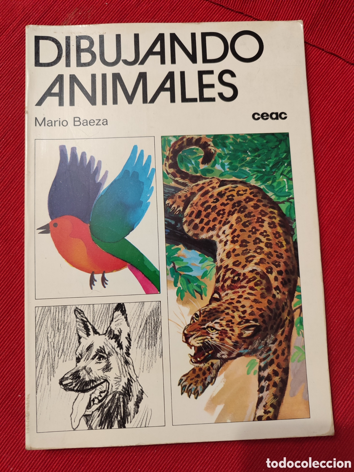 Libros de segunda mano: DIBUJANDO ANIMALES. Mario Baeza. - Foto 1