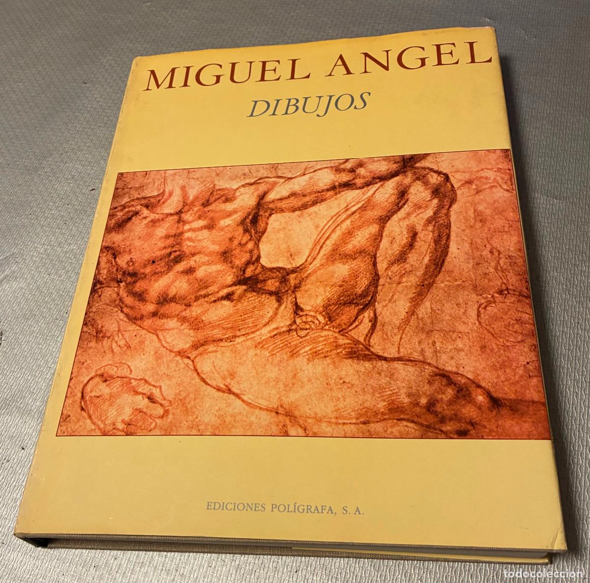 Libros de segunda mano: MIGUEL ANGEL DIBUJOS - Foto 1