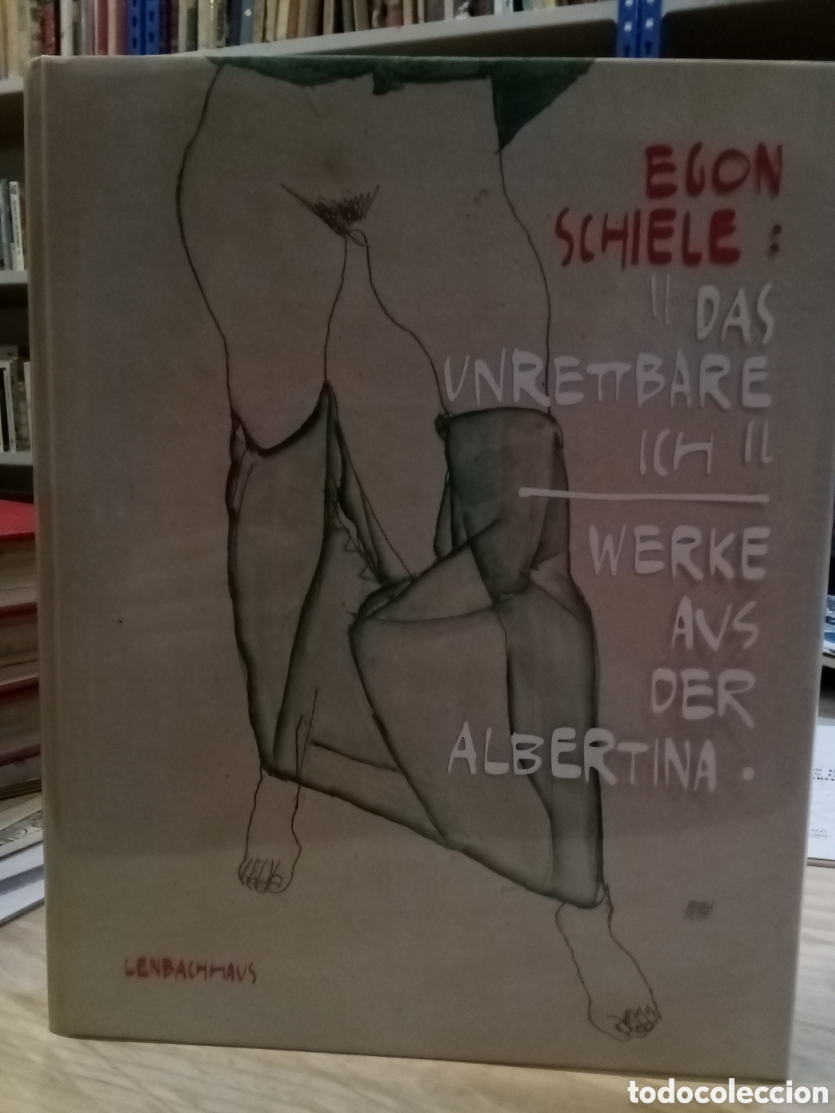 Gebrauchte B&uuml;cher: Egon Schiele - Das unrettbare Ich