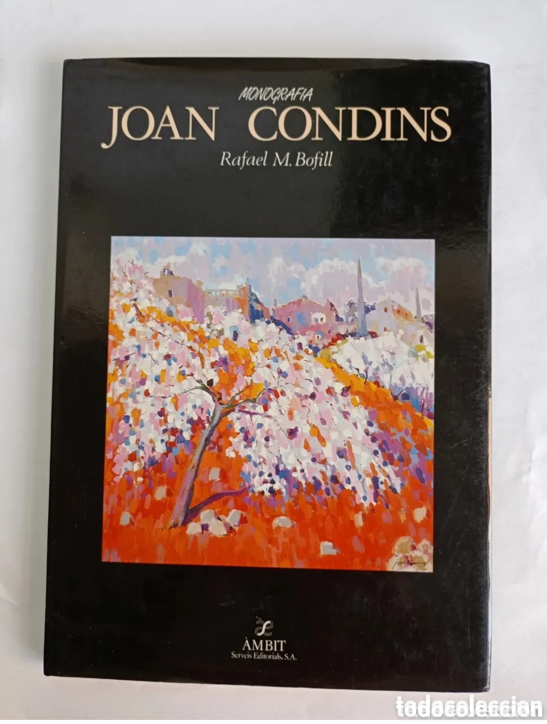Libros de segunda mano: Monograf&iacute;a Joan Condins