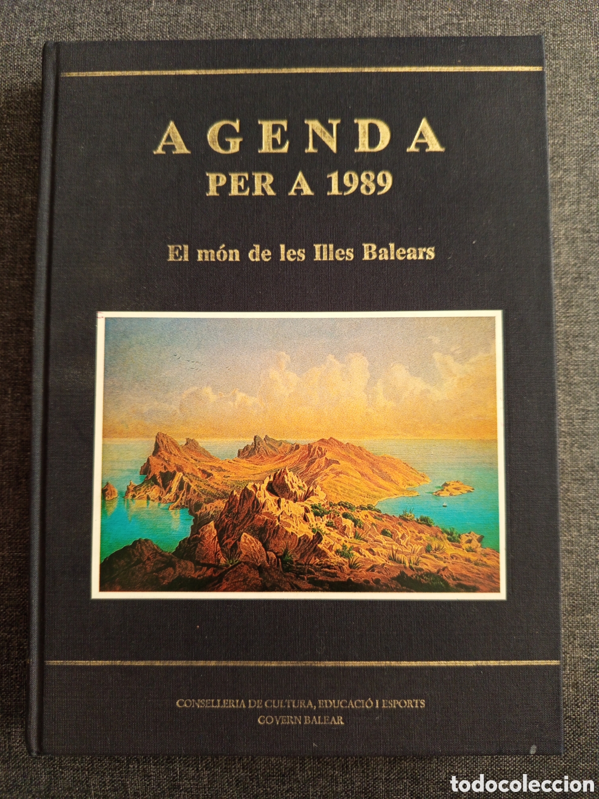 Libros de segunda mano: AGENDA PER A 1989. EL MON DE LES ILLES BALEARS