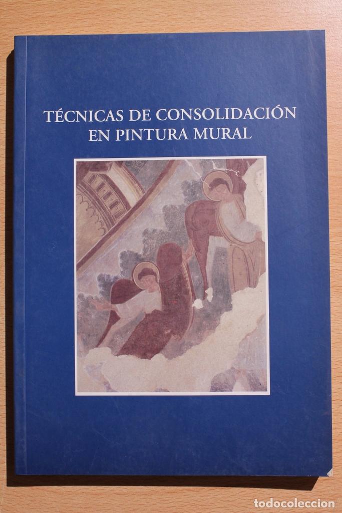 Libros de segunda mano: T&eacute;cnicas de consolidaci&oacute;n en pintura. Aguilar de Campoo, 1998