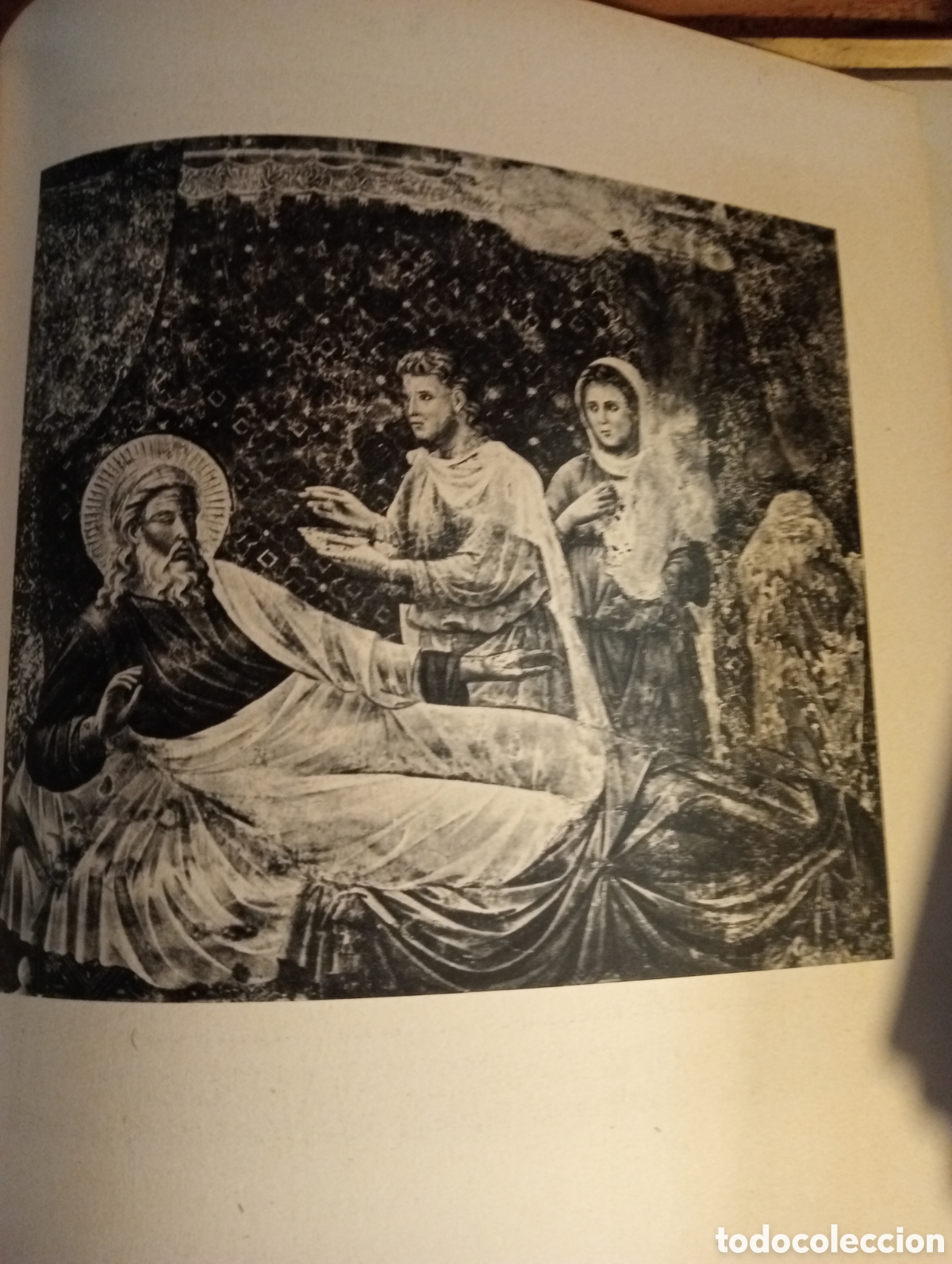 Libros de segunda mano: Libro sobre la obra de Giotto - Foto 6