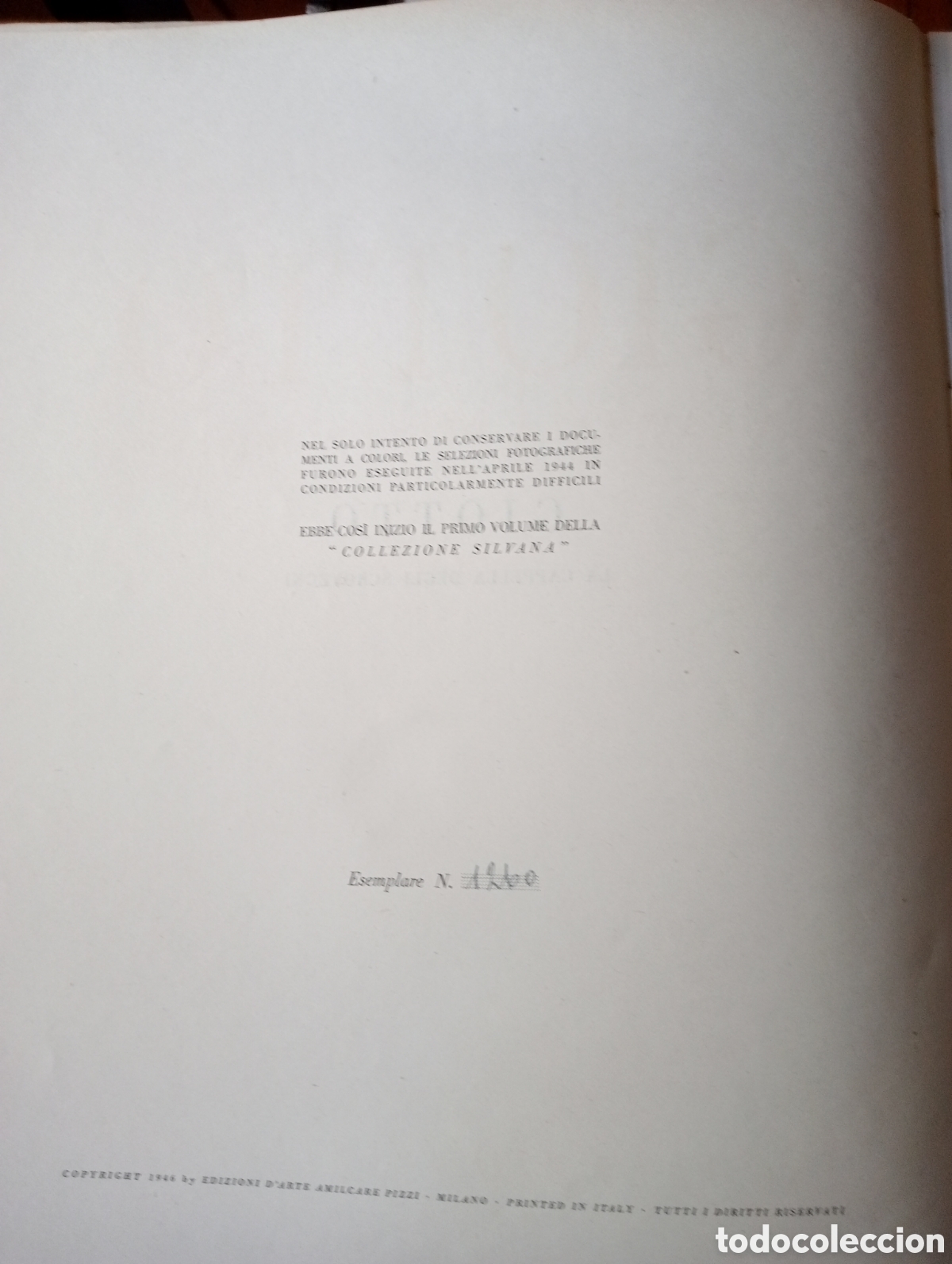 Libros de segunda mano: Libro del pintor Giotto - Foto 2