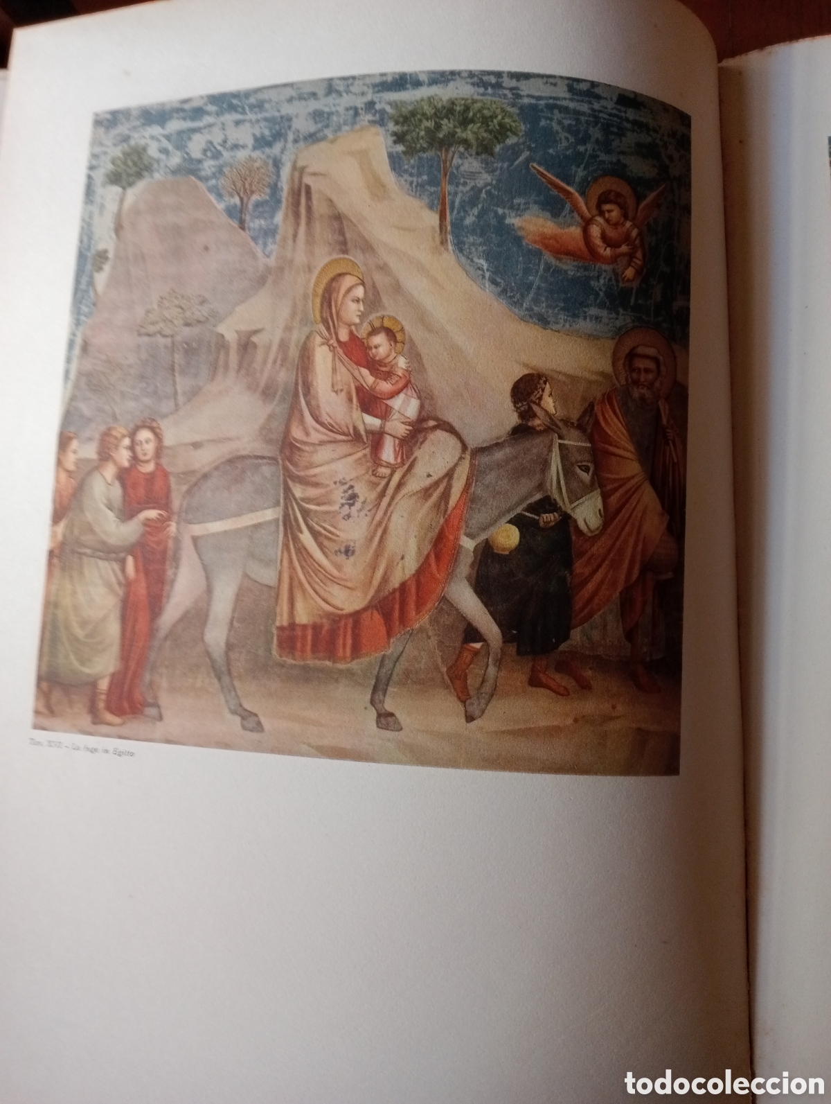 Libros de segunda mano: Libro del pintor Giotto - Foto 6