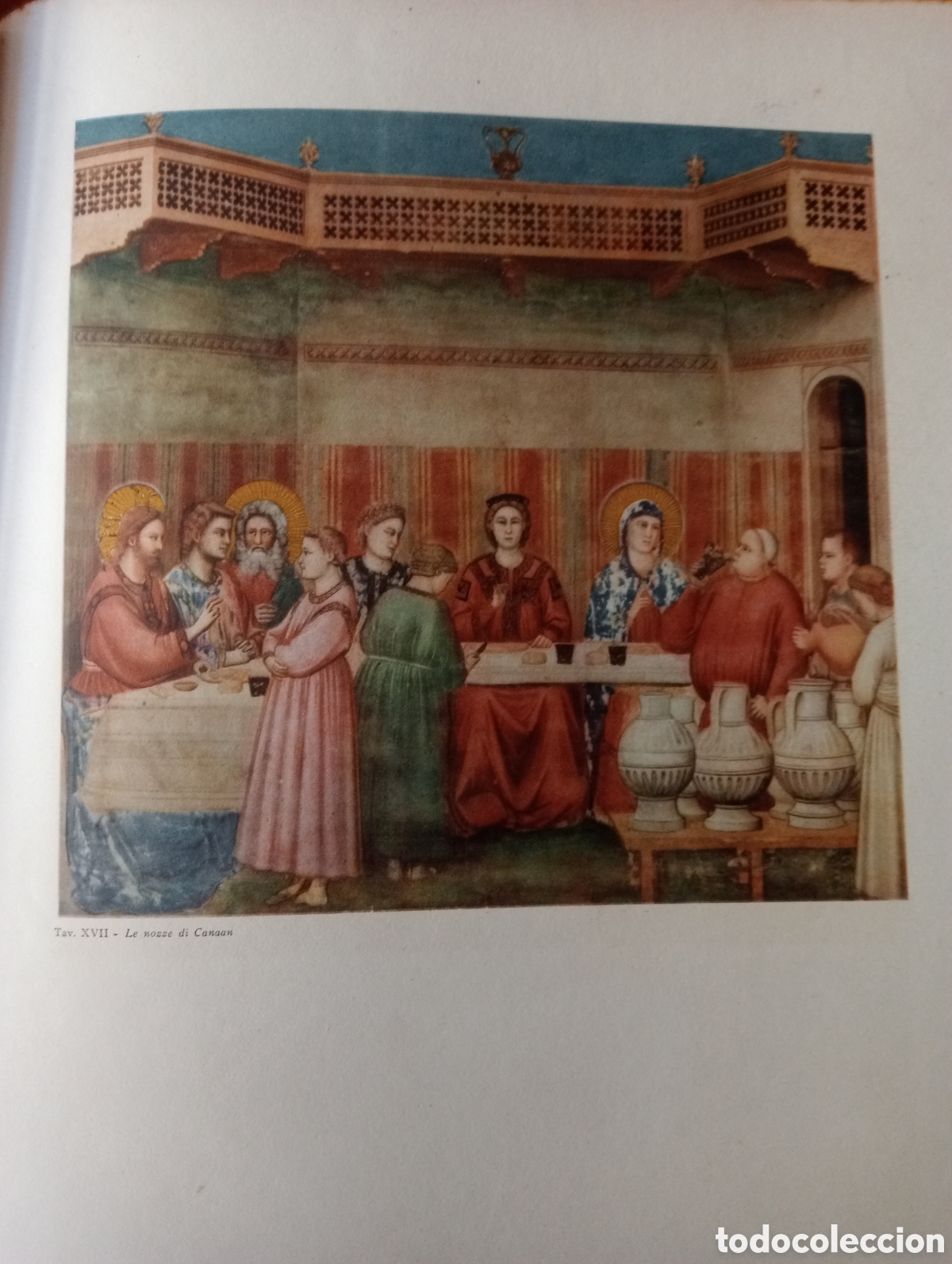 Libros de segunda mano: Libro del pintor Giotto - Foto 7