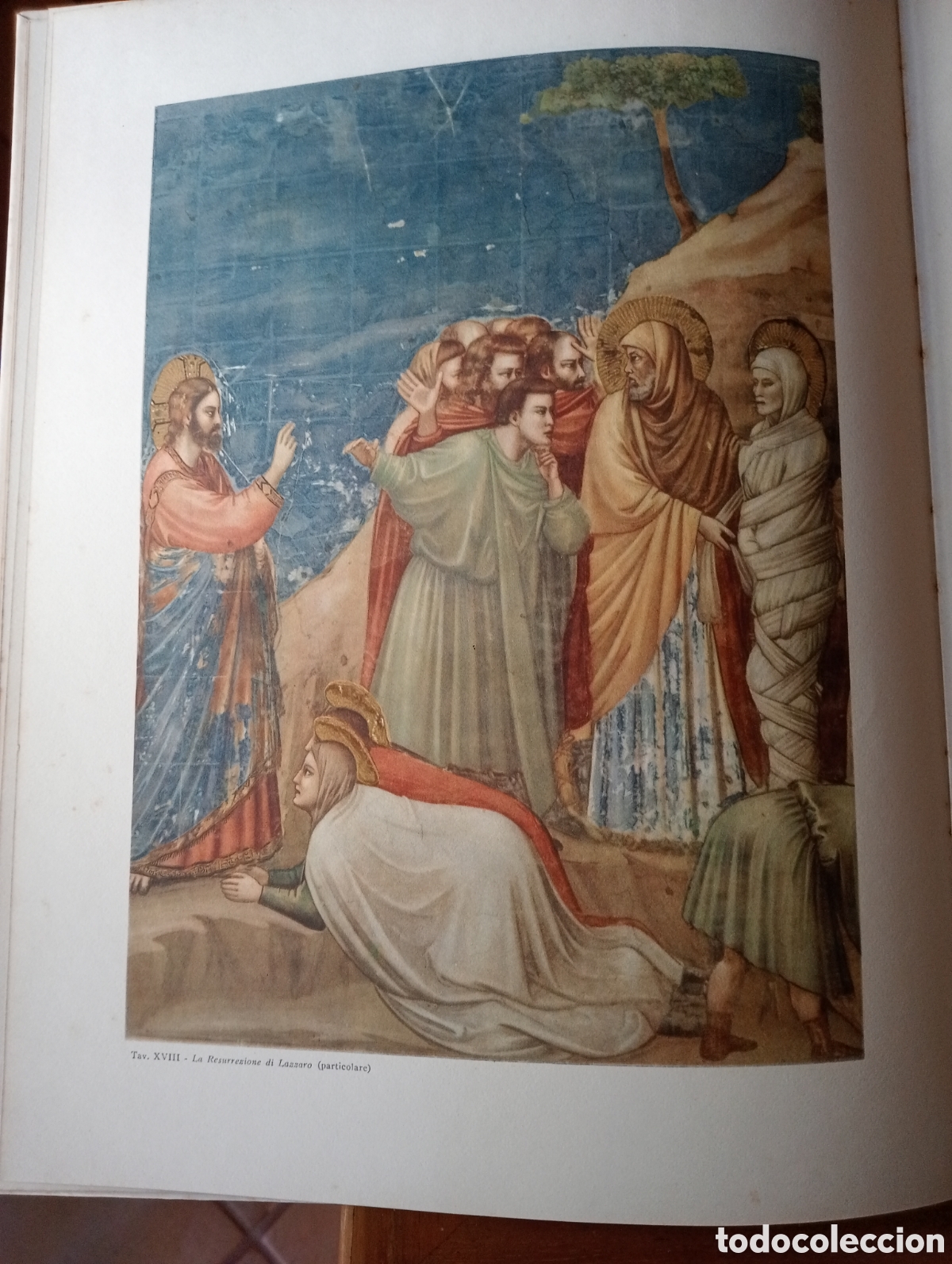 Libros de segunda mano: Libro del pintor Giotto - Foto 8