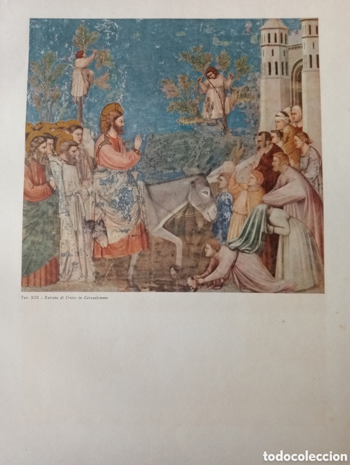 Libros de segunda mano: Libro del pintor Giotto - Foto 9