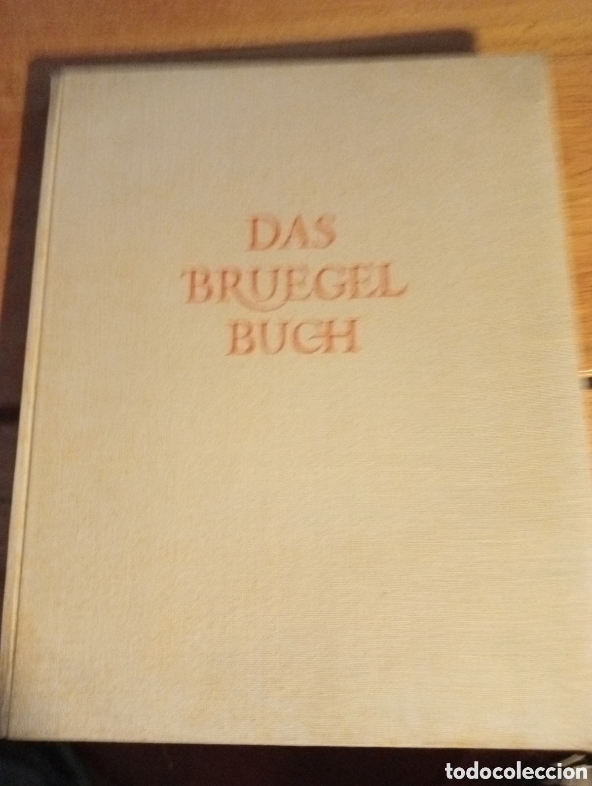 Libros de segunda mano: El pintor Das Brueghel Buch