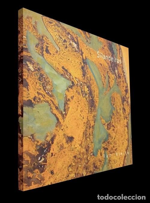 Libros de segunda mano: �F2197 - SILANDEIRAS. XAN VIEITO. PINTOR. PINTURA. DIPUTACION DE ORENSE. GALICIA.