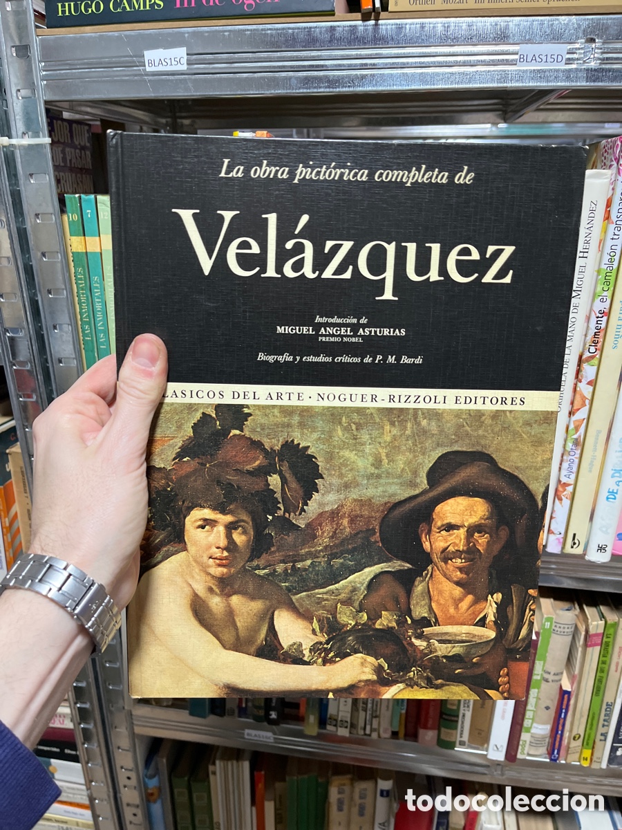 Libros de segunda mano: Blas16 la obra pict&oacute;rica completa de Vel&aacute;zquez, Noguer Rizzoli